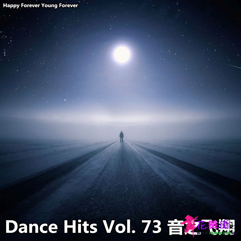 Dance Hits Vol. 73 ֮.jpg