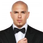 Pitbull Discography-Hiphop-64.2G-WEB-2025-FDS